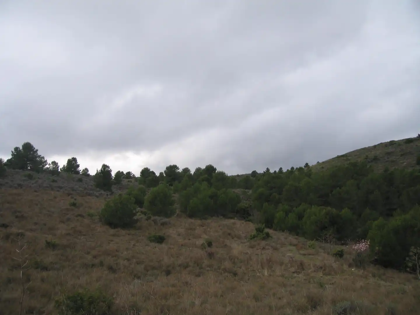 Terreno rustico in vendita a Pedanías Centro, imagen 3