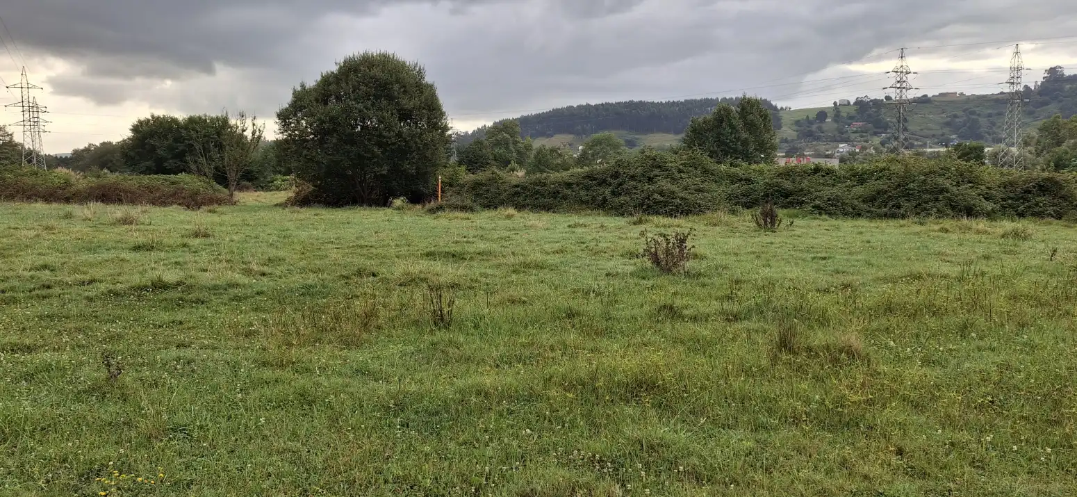 Terreno rustico in vendita a MIES DEL MEDIO, imagen 8