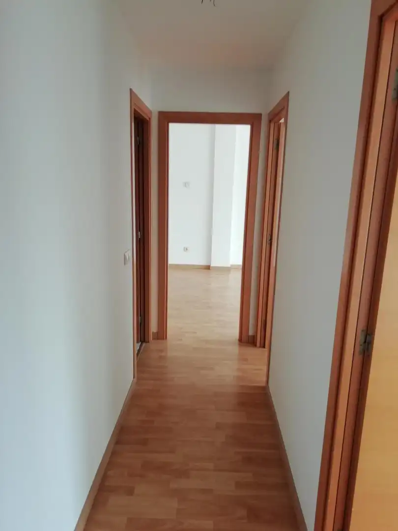 Wohnung zur Miete in Calle FELIP PEDRELL, Nou Eixample Sud