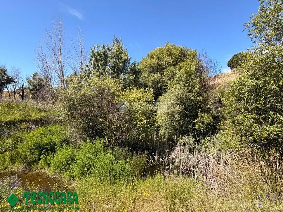 Land for sale in La Torre de Esteban Hambrán
