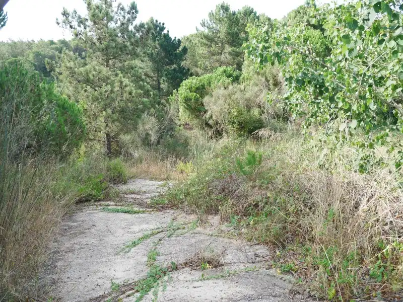 Residential land for sale in Avinguda Rafael Albertí 46, imagen 3