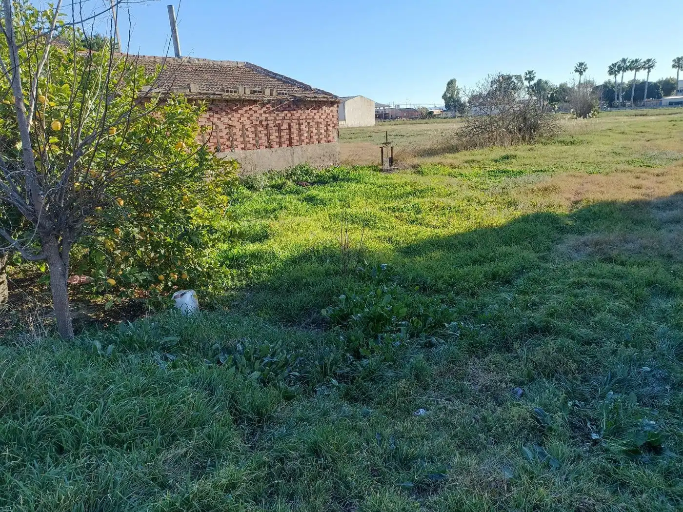 Maison à vendre à Callosa de Segura, imagen 12