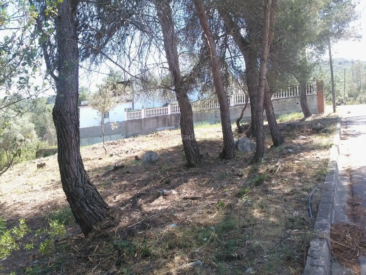 Terreny residencial en venda a Carrer del Carme 34, imagen 2