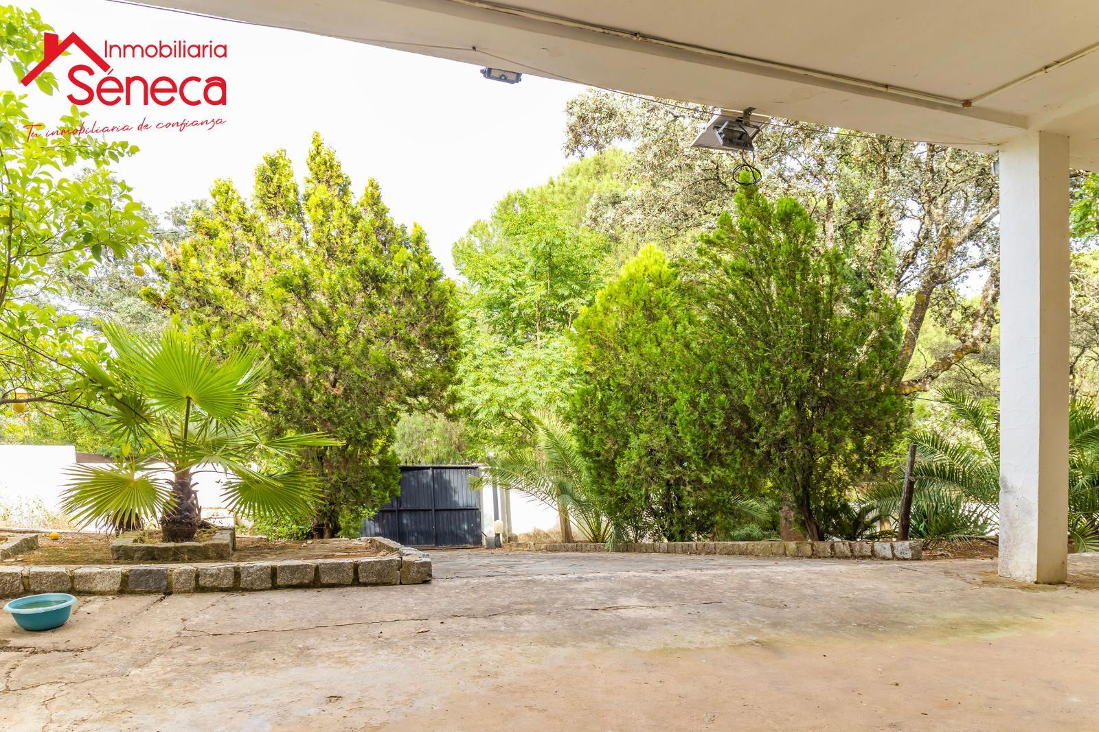 Garden of House or chalet for sale in  Córdoba Capital  with Storage room, Swimming Pool and Furnished