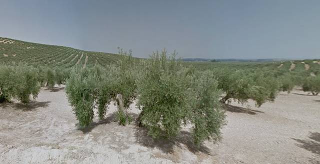 Terreno residencial en Venta en Torredonjimeno en Torredonjimeno