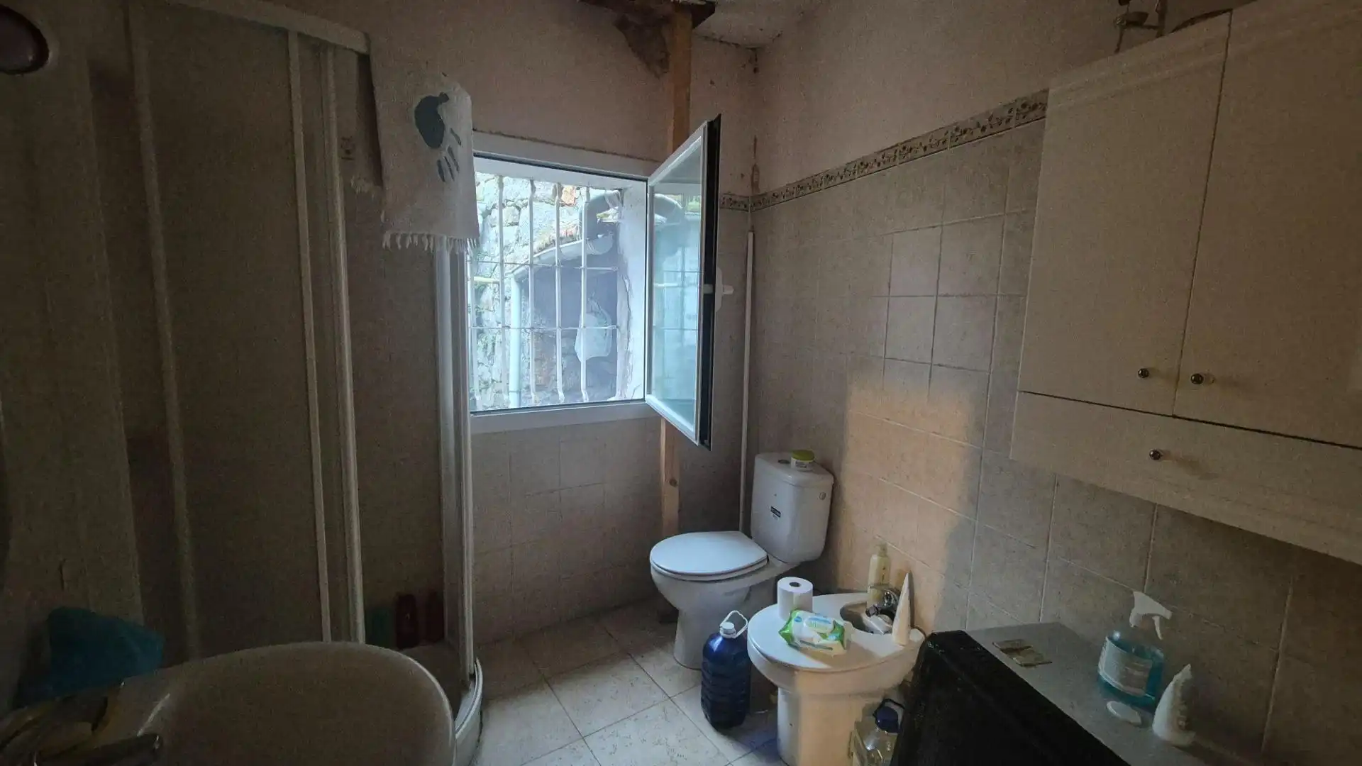 Baño de Casa o chalet en venta en Cercedilla con Jardín privado, Terraza y Balcón