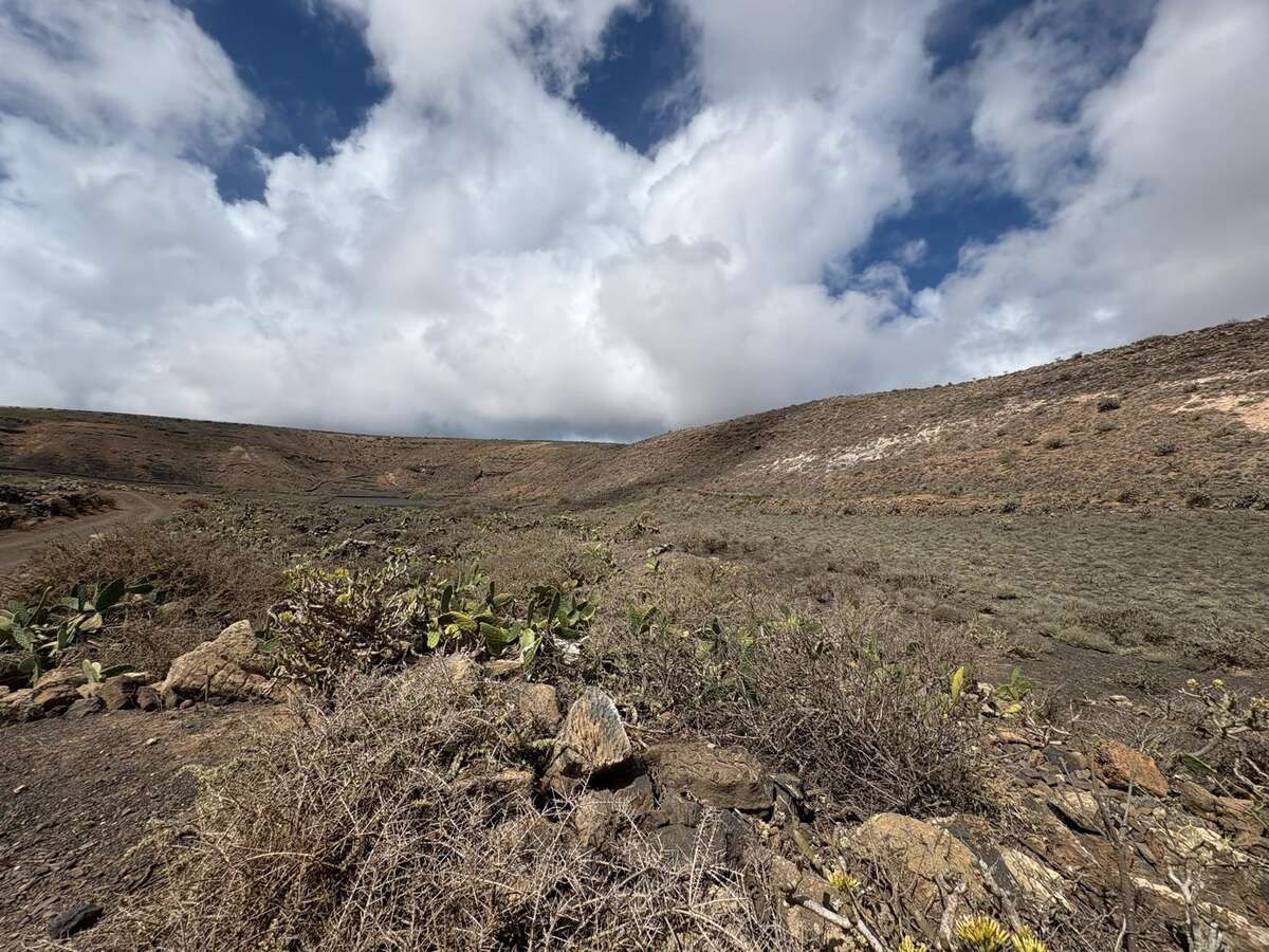 Land for sale in Haría