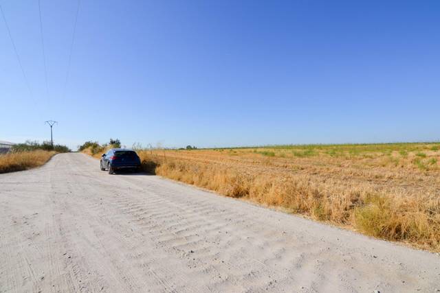 Terreno en Venta en Camino Sacedón en Brunete