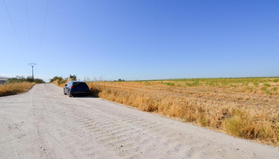 Photo 1 of Land for sale in Camino Sacedón, Brunete, Madrid