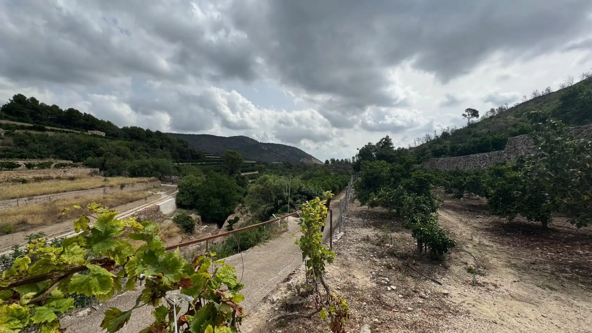 Residencial en venta en L'Atzúbia
