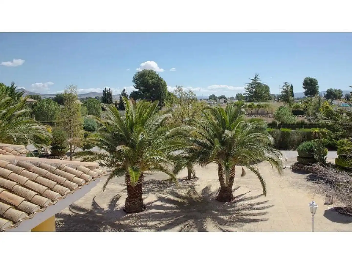 House for sale in Yecla, imagen 6