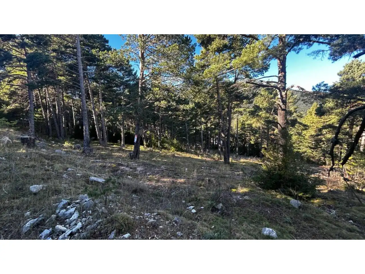 Rustikales Grundstück zum Verkauf in La Coma i la Pedra, imagen 4