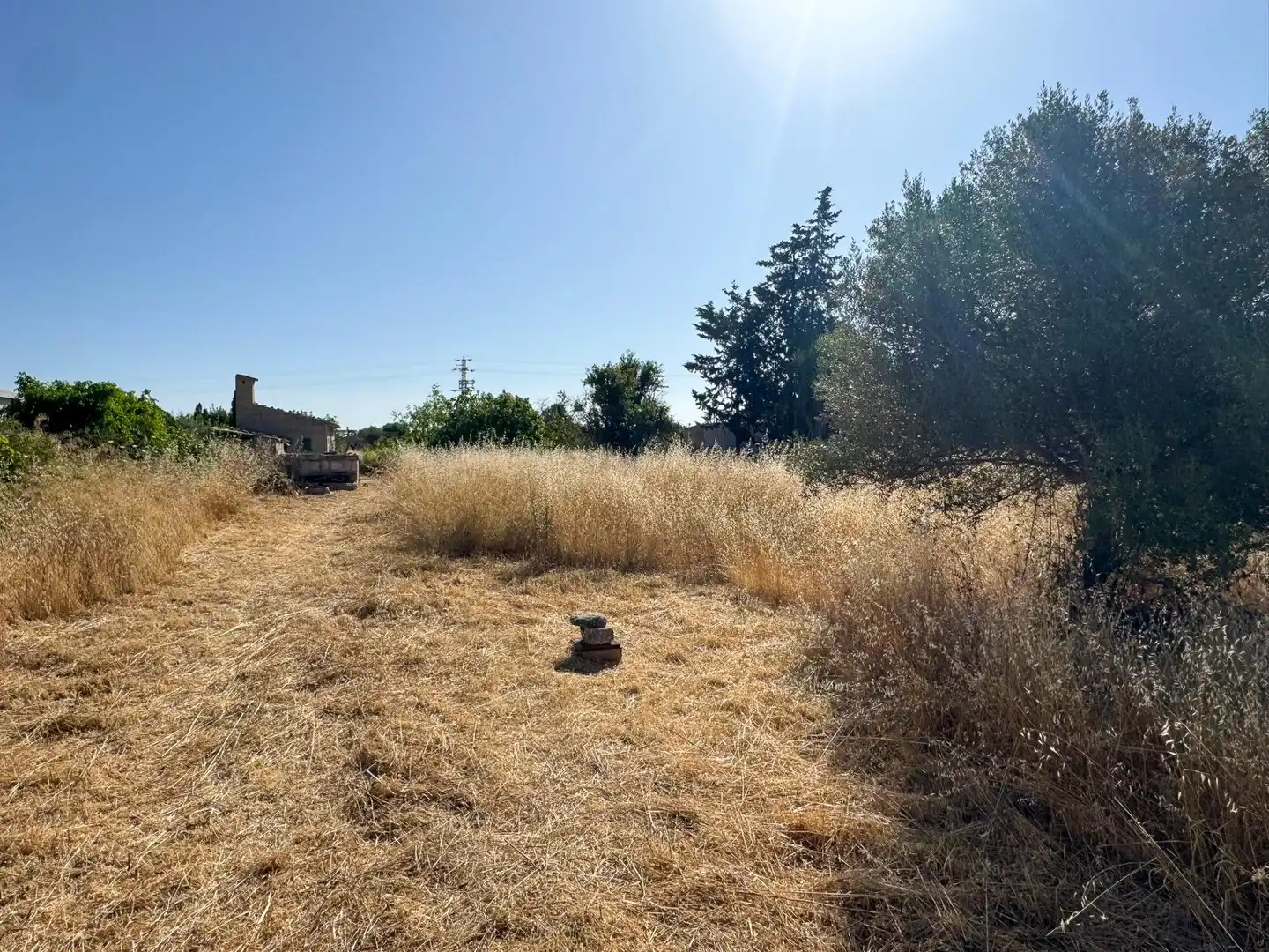 Finca rústica en venta en Lloseta con Jardín privado y Piscina
