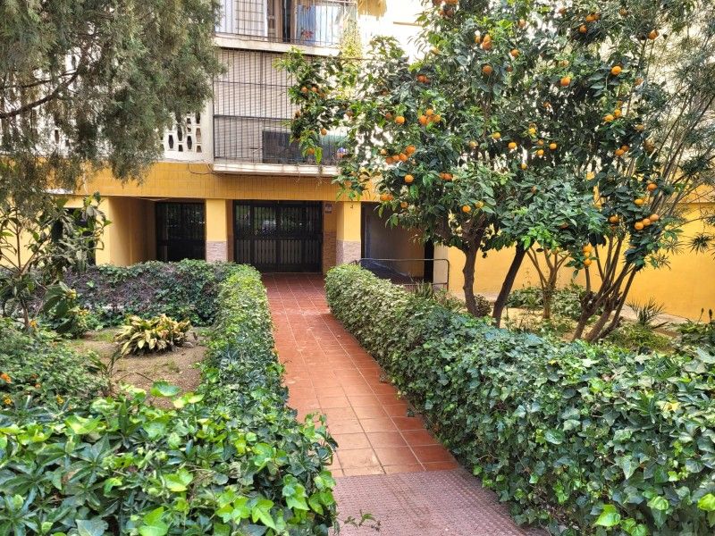Pis en venda a Palma - Palmilla