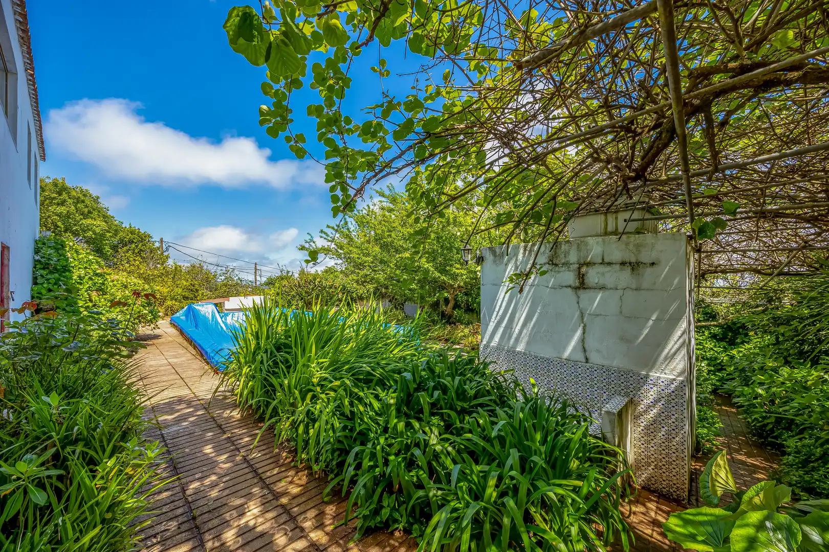 Vista exterior de Casa o xalet en venda en Valleseco amb Jardí privat, Terrassa i Traster