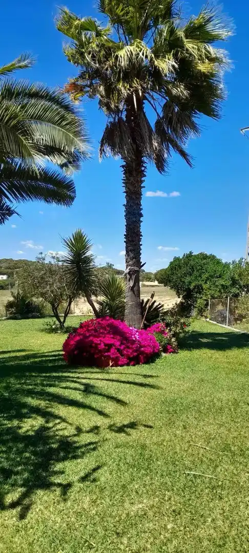 Casa adosada en venta en Calle ARTEMISA, Lepe