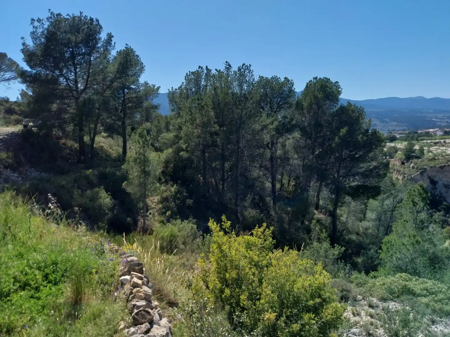Terreno rustico in vendita a Lugar Castillo, imagen 37
