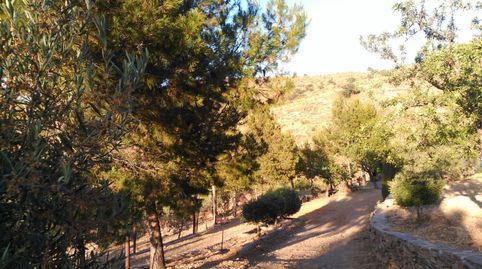 VENTA DE FINCA DE 115 HECTÁREAS CON CORTIJO EN BENIZALÓN, immagine 2