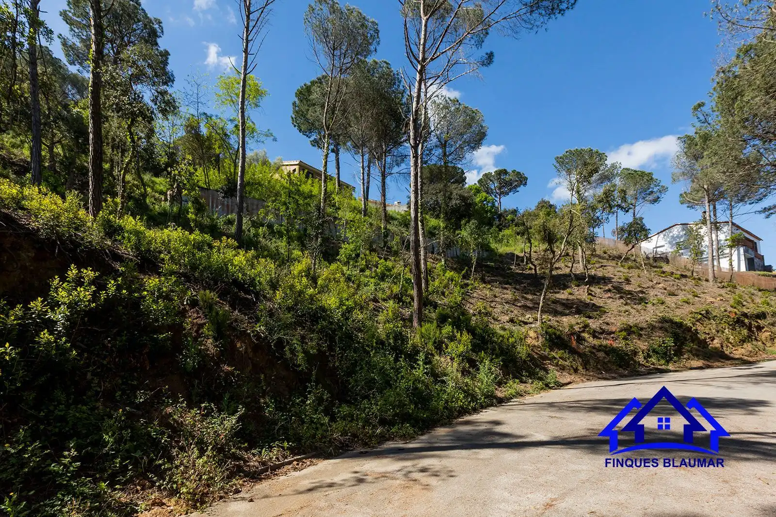Lands and plots for sale in Vallgorguina