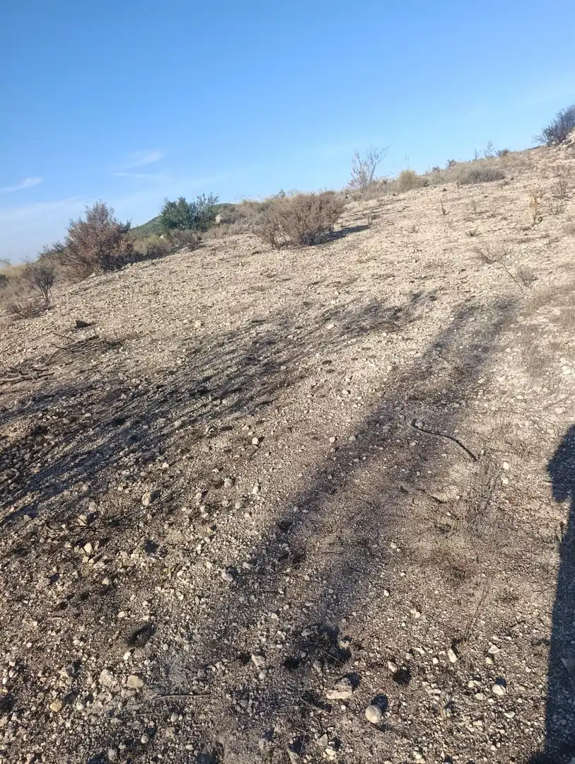 Industrial land for sale in Bullas, Murcia