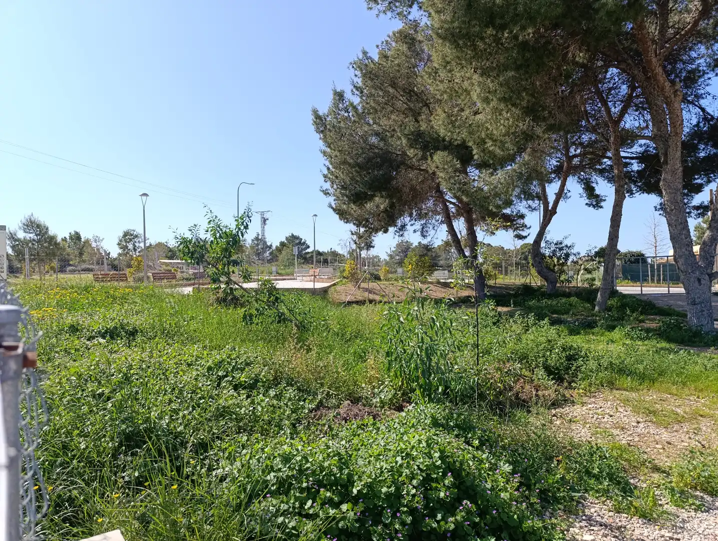 Terreno residencial en venta en Carrer Bellavista-D 24, imagen 6