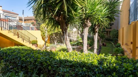 Foto 4 de Casa o chalet en venta en Angel Guimera, Molí de Vent - La Sauleda, Palafrugell