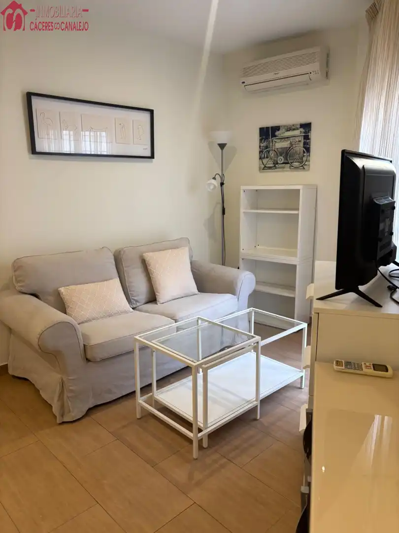 Sala de estar de Casa o chalet de alquiler en Sevilla con Aire acondicionado