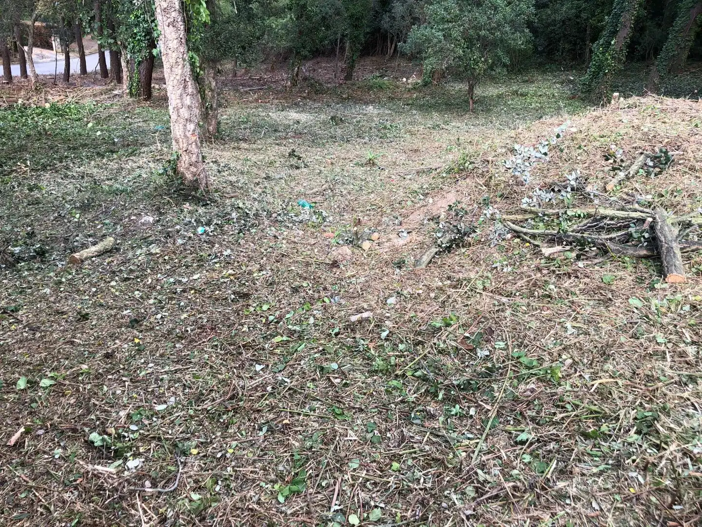Wohnbaugrundstück zum Verkauf in Carre Baix Camp 32, imagen 2