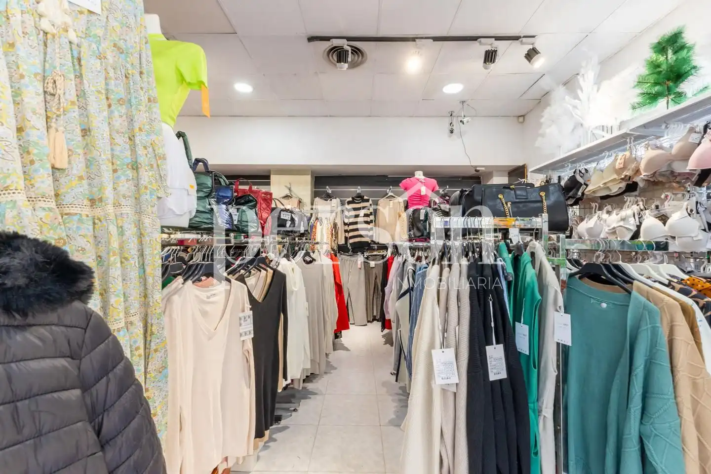 Business premises for sale in Santa Rosa, imagen 13