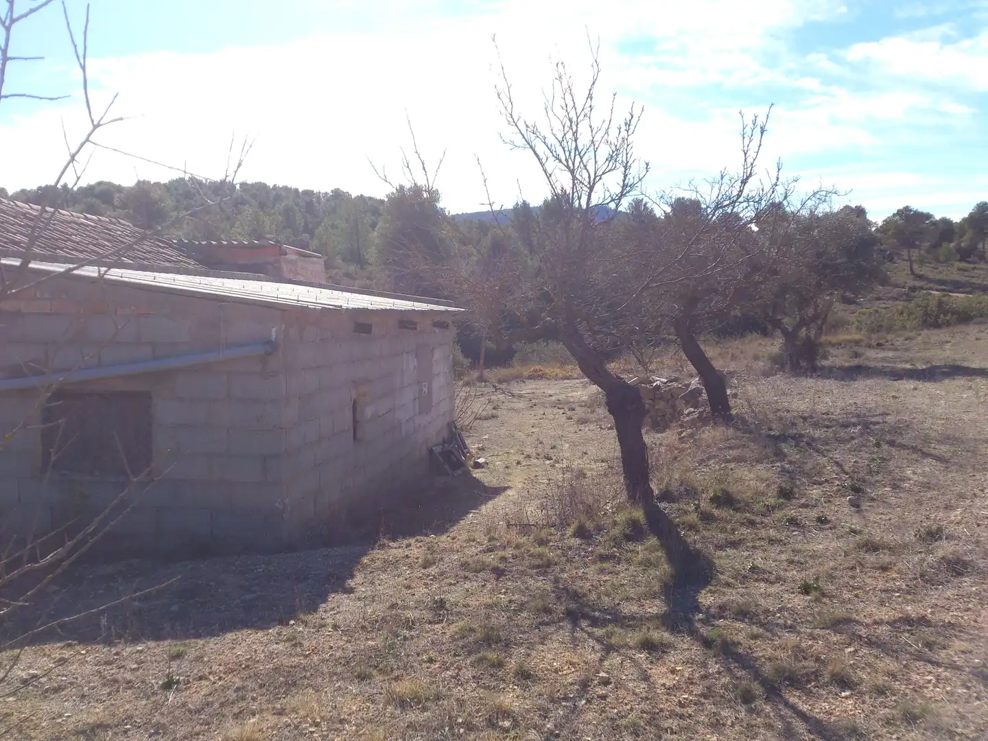 Country homes for sale in La Font de la Figuera