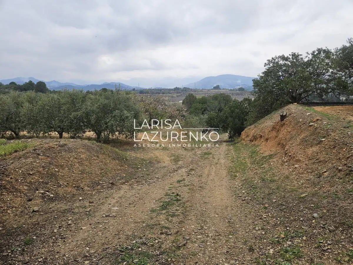 Finca rústica en venda en Riudoms