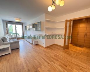Sala d'estar de Pis de lloguer en Pontevedra Capital  amb Calefacció i Balcó