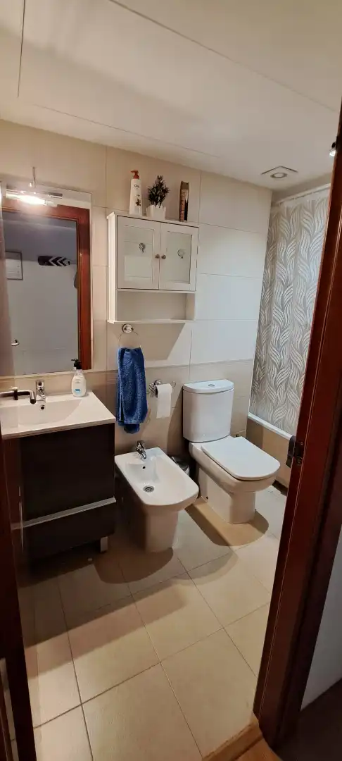 Bany de Àtic en venda en Deltebre amb Aire condicionat, Terrassa i Moblat