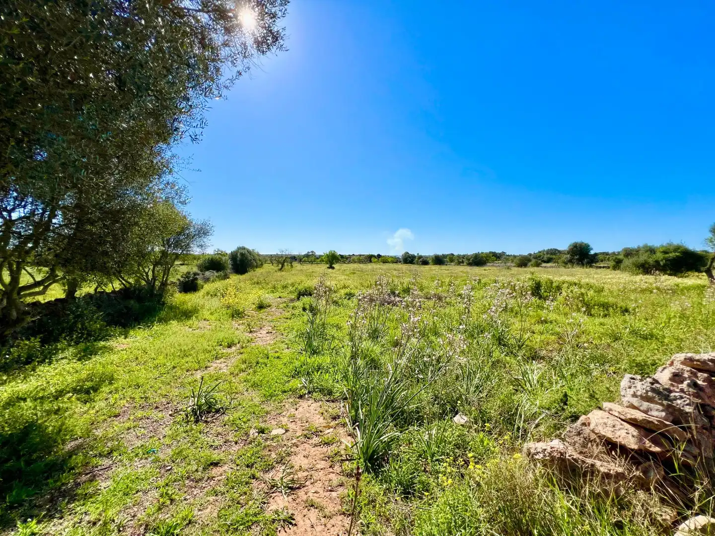 Residencial en venta en Santanyí