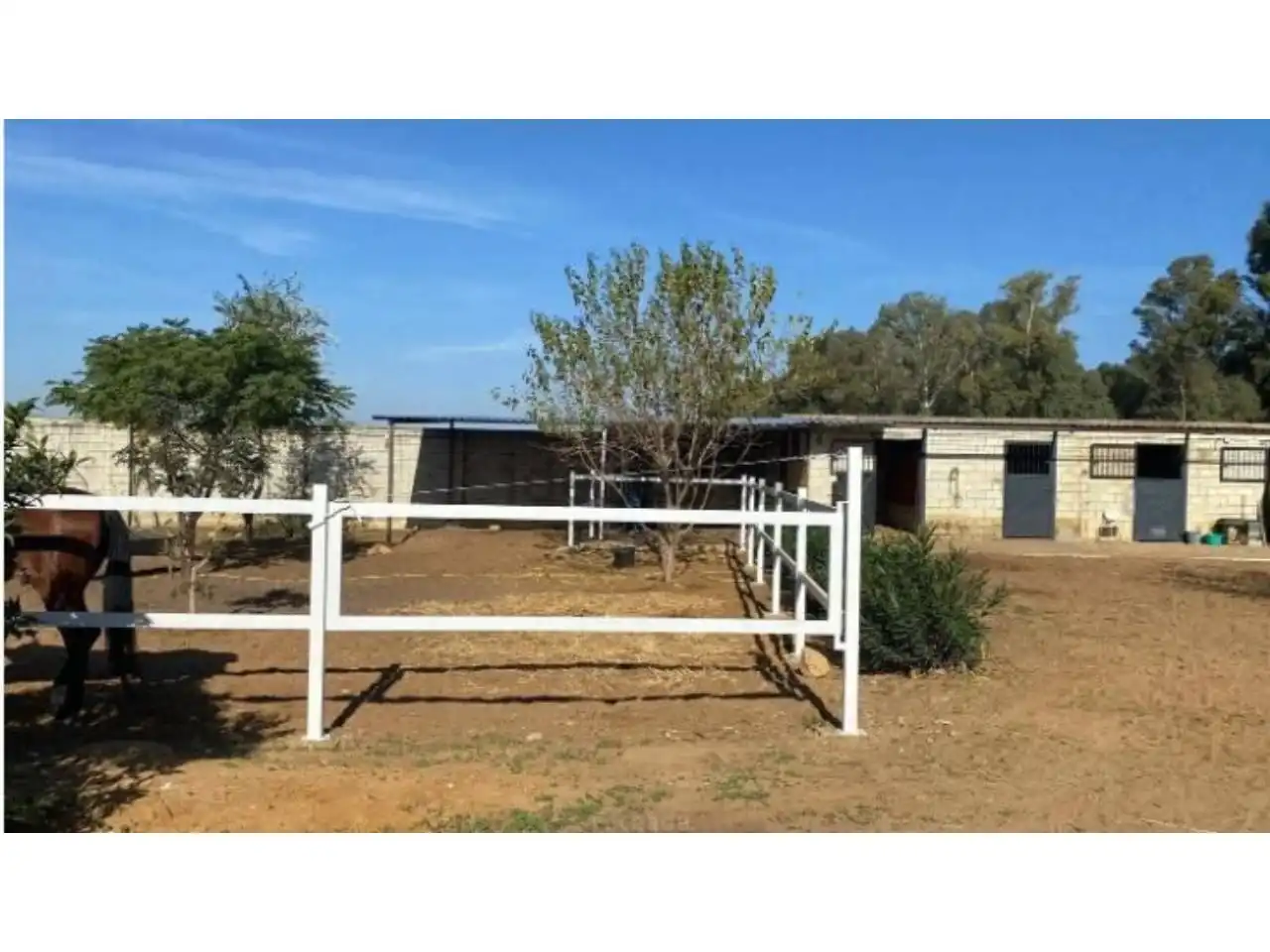 Chalet con piscina en venta en Urbanizacion Regidor, imagen 18