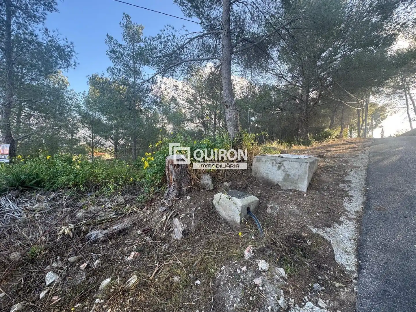 Terreno rustico in vendita a La Bisbal del Penedès, imagen 4
