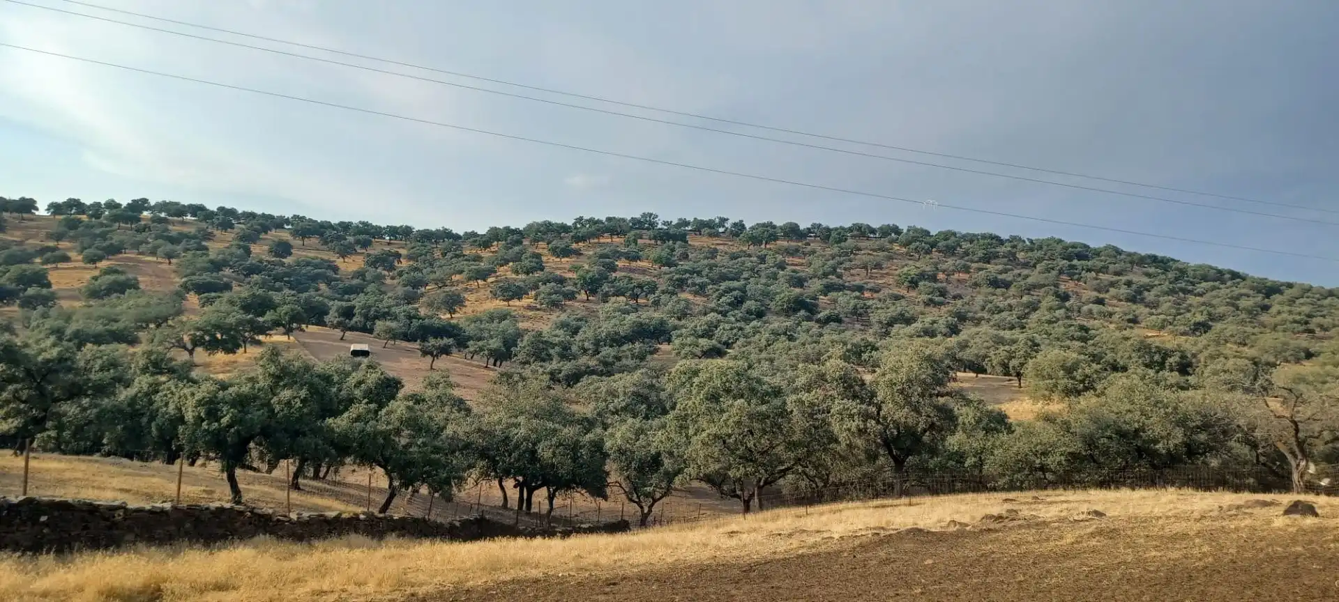Terreny rústic en venda a Santa Olalla del Cala, imagen 38