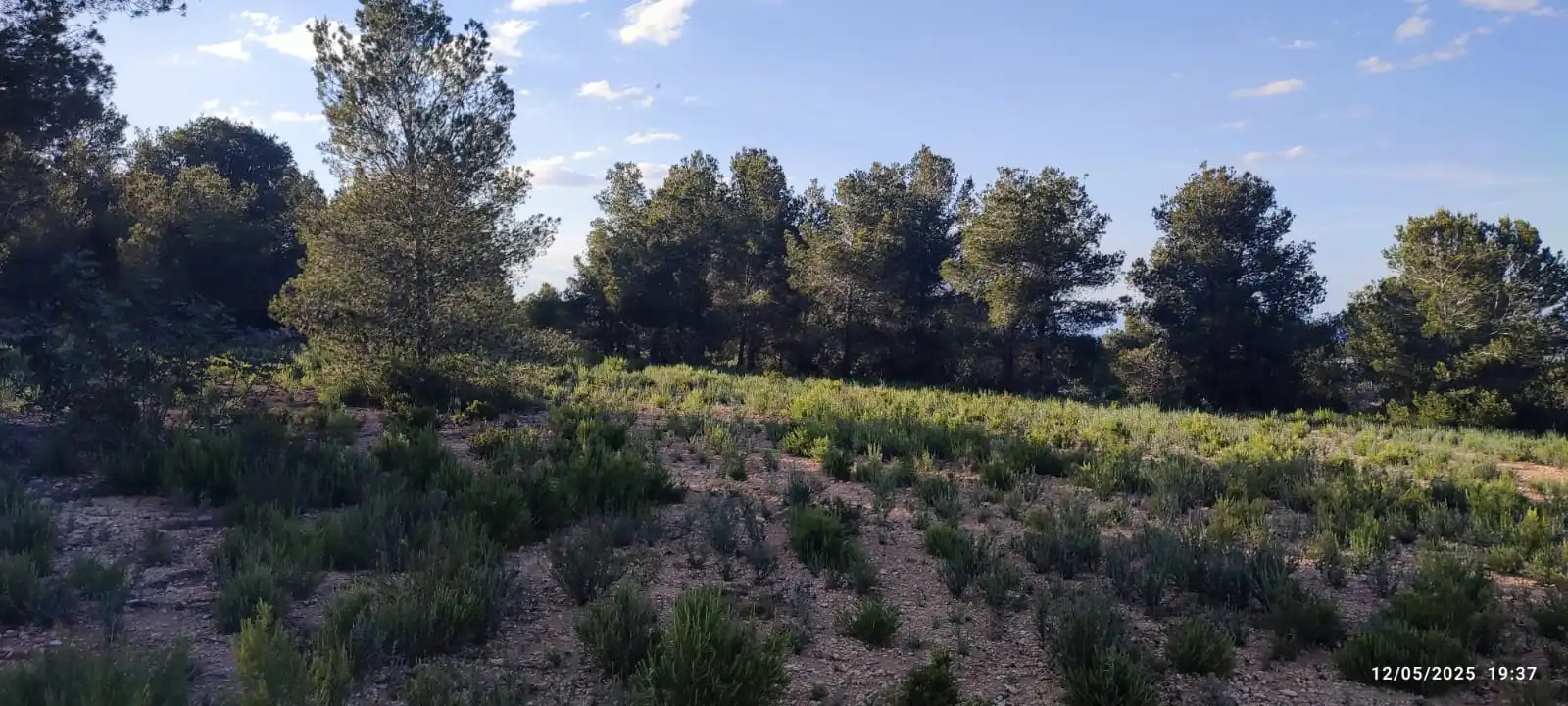 Rural land for sale in Urbanització Blasques 23 10, imagen 15