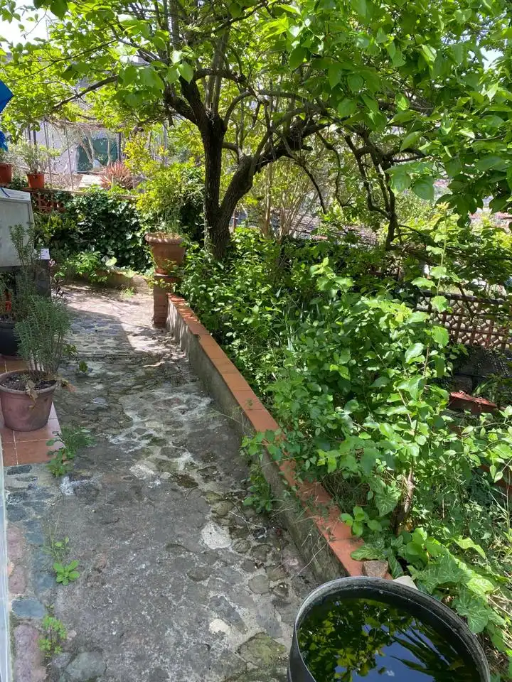 Terrenos y solares en venta en Carrer Vicenç Bou 14, imagen 11