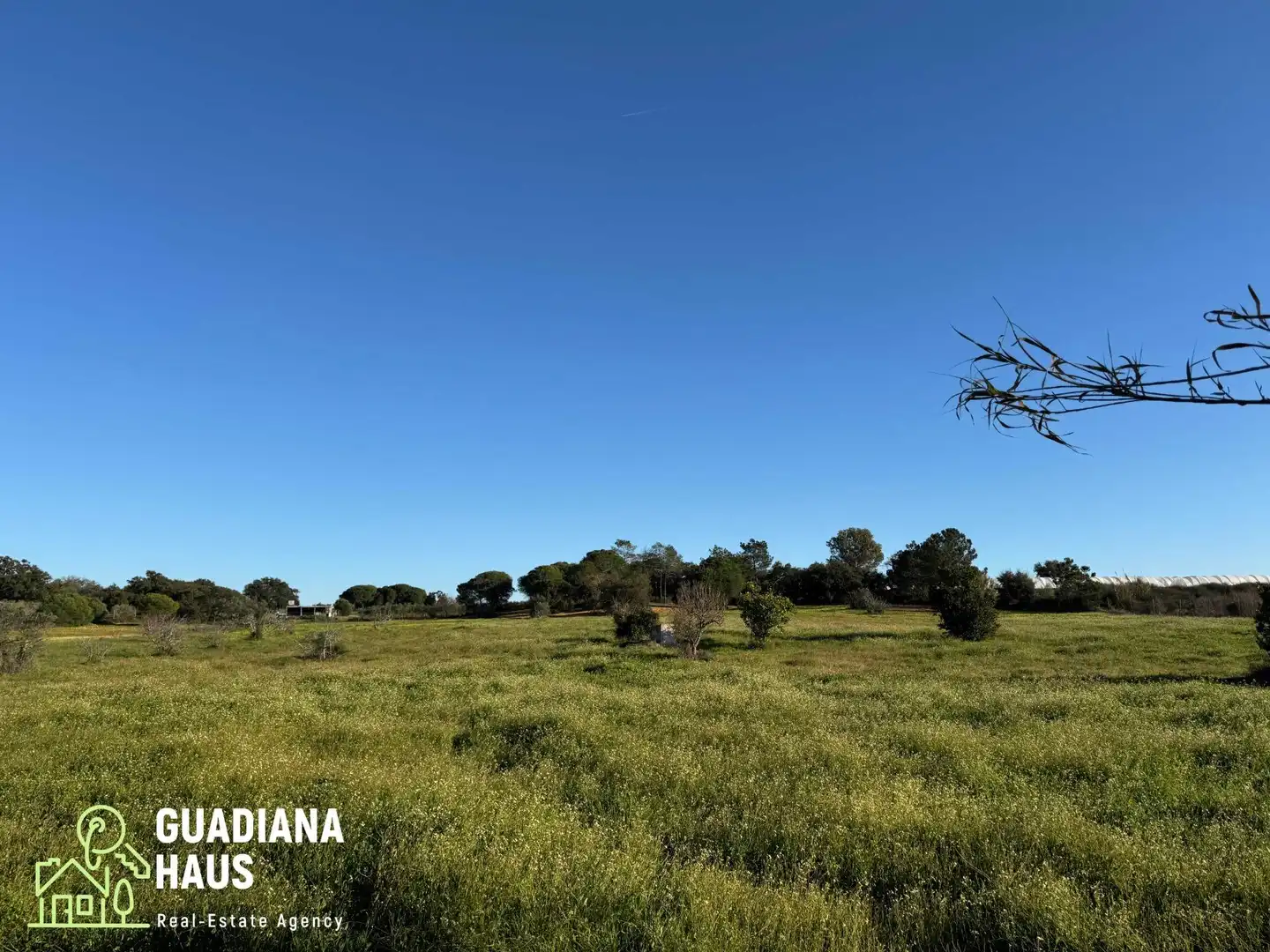 Finca rústica en venda en Villablanca