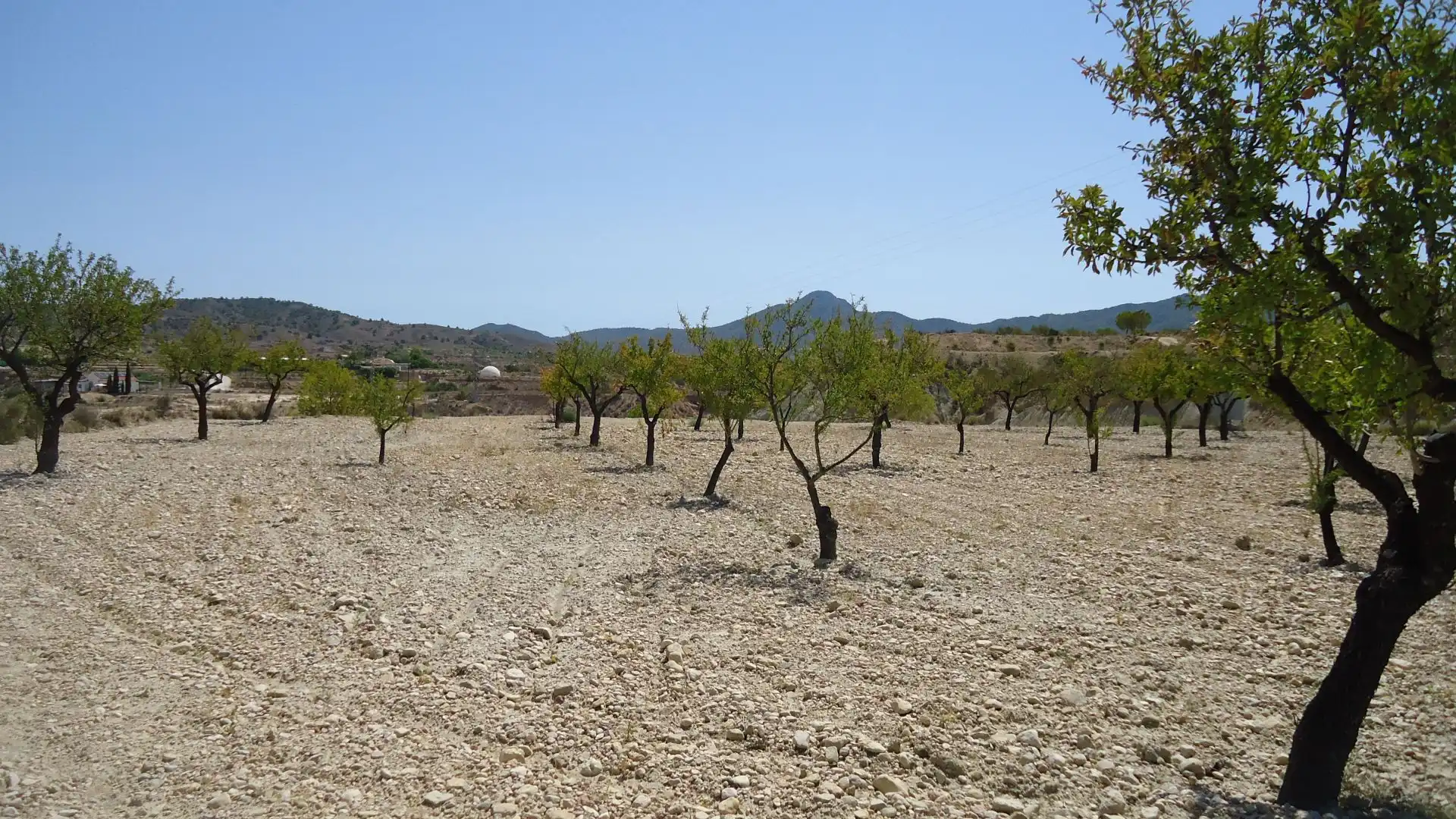 Terrain rustique à vendre à Abanilla, imagen 5
