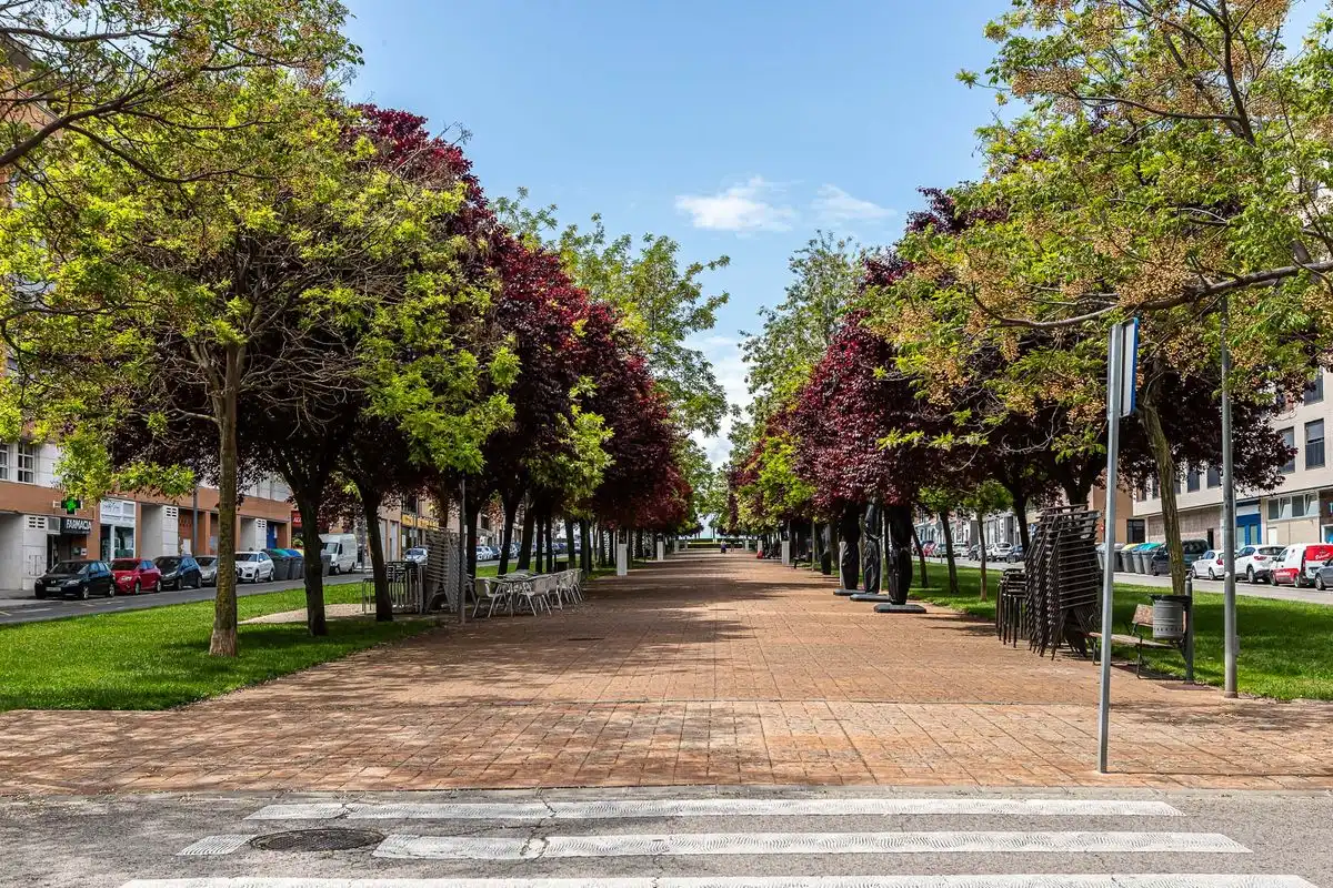 Local comercial de lloguer a Las Cañas, imagen 24
