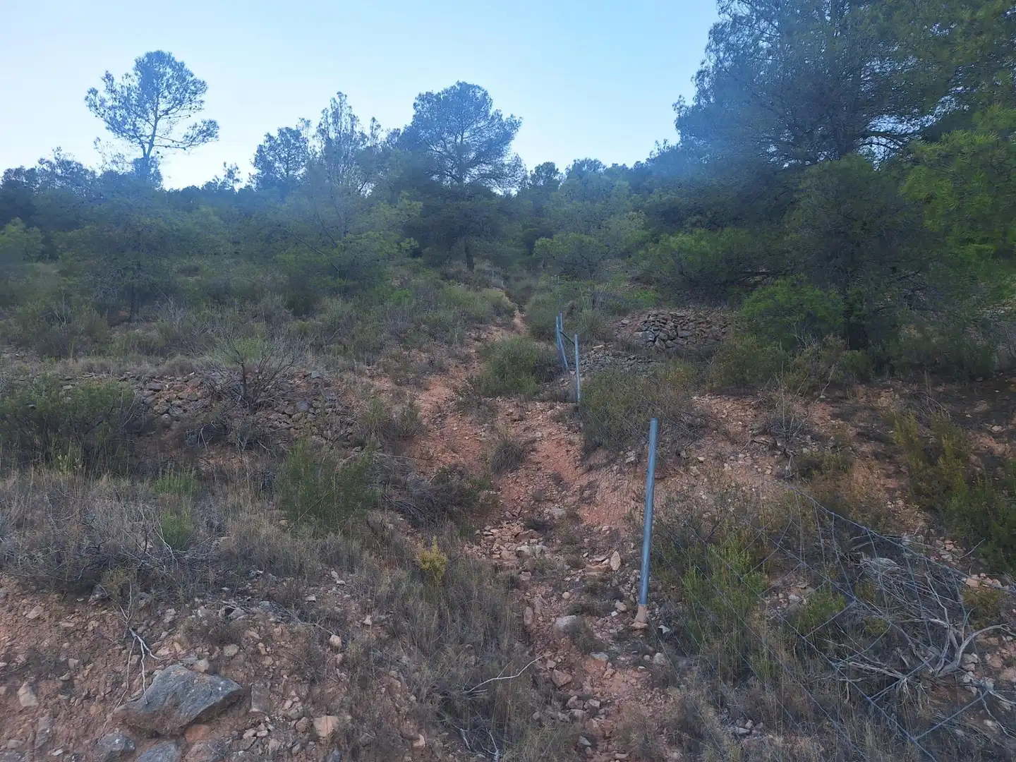 Rural land for sale in Castalla, imagen 11