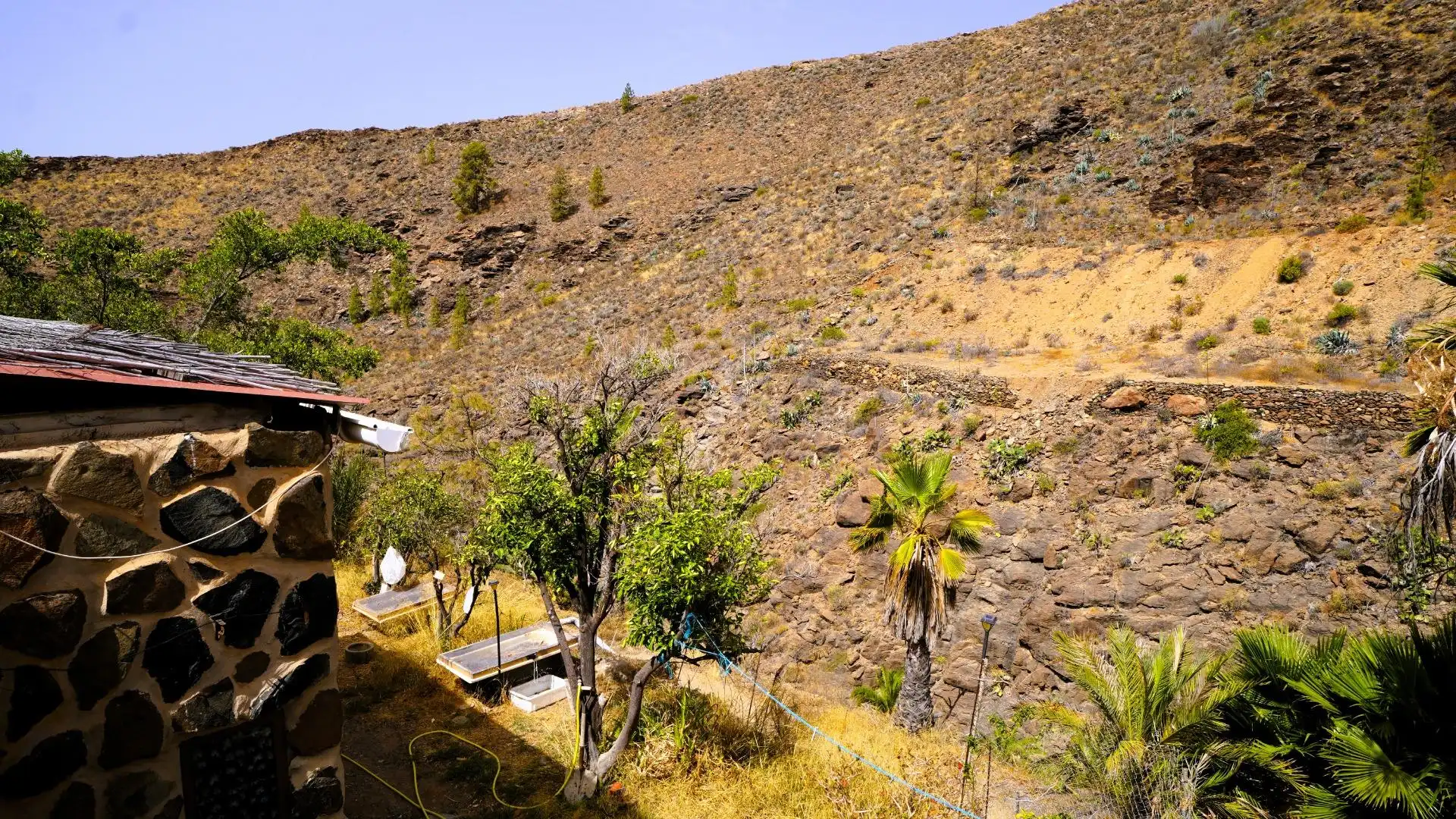 Jardí de Finca rústica en venda en San Bartolomé de Tirajana