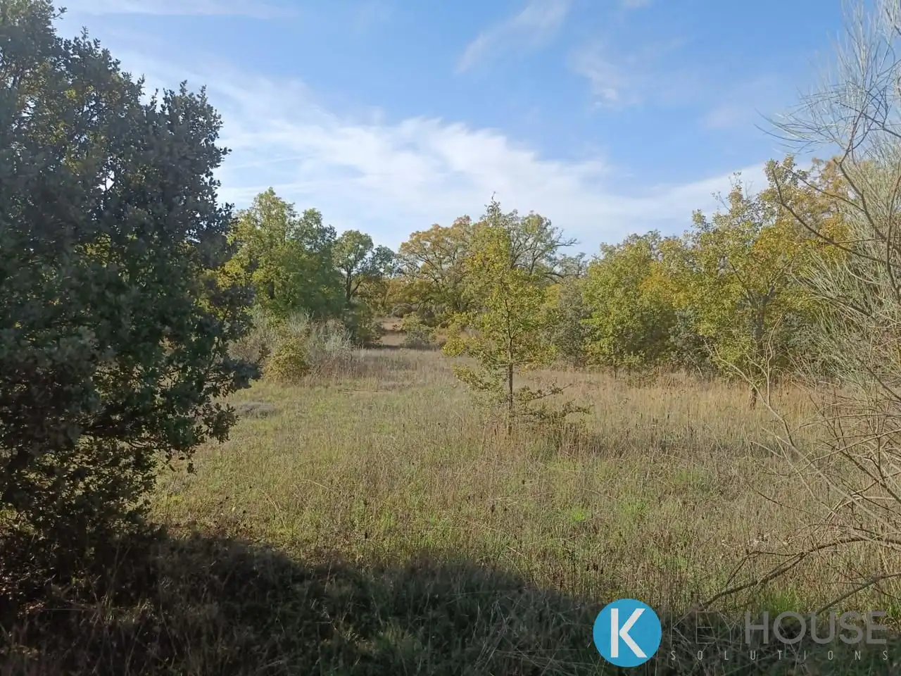 Land for sale in Pastrana