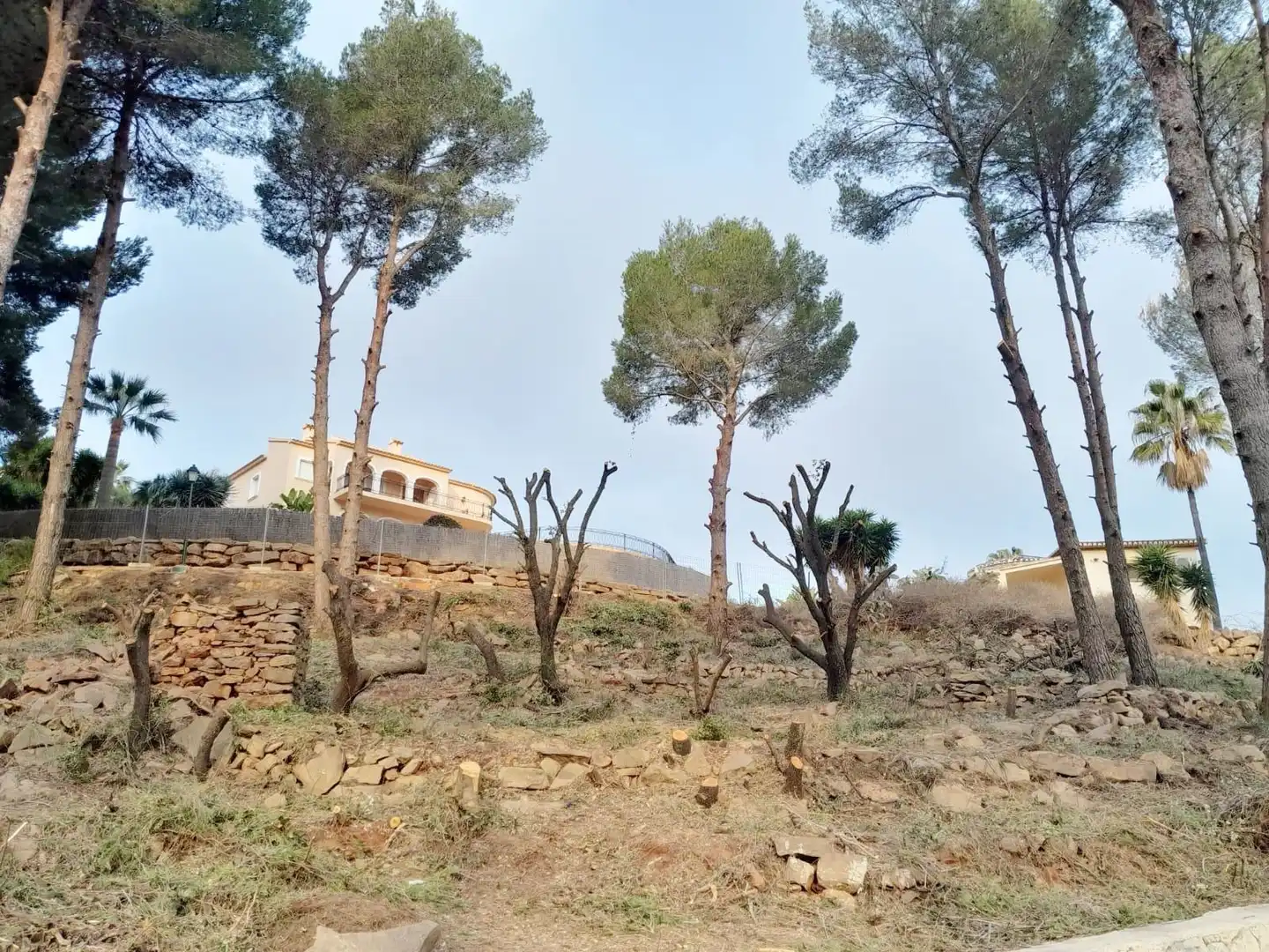 Terrenys i solars en venda a Pedreguer, imagen 6
