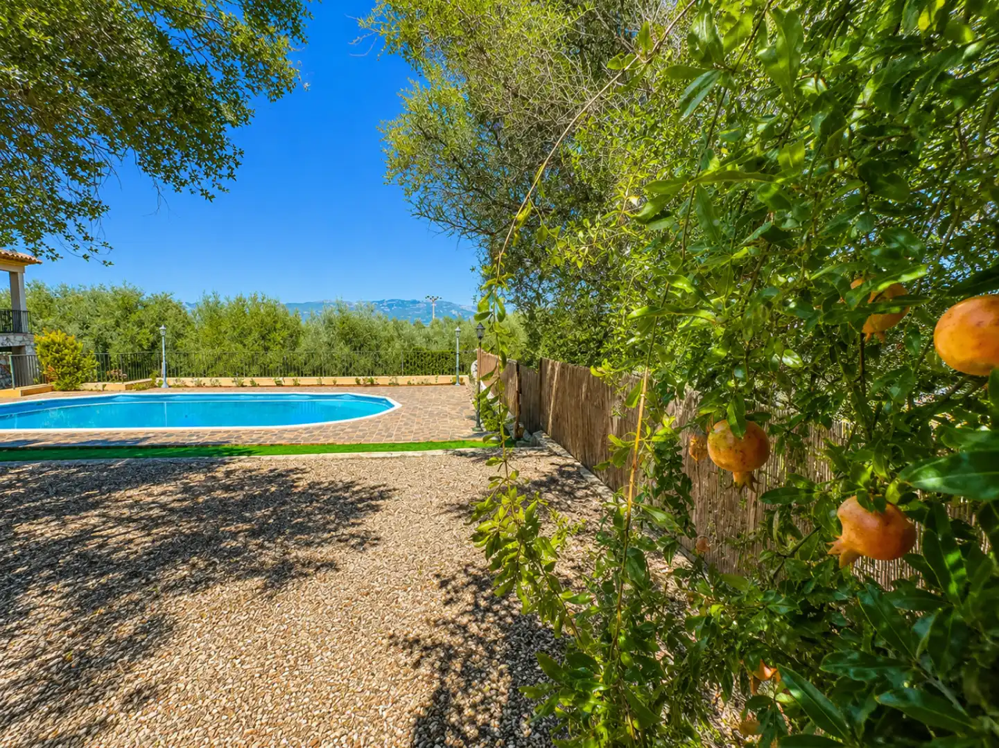 Swimming pool of Houses for rent in Santa Eugènia  with Air Conditioner, Heating and Private garden