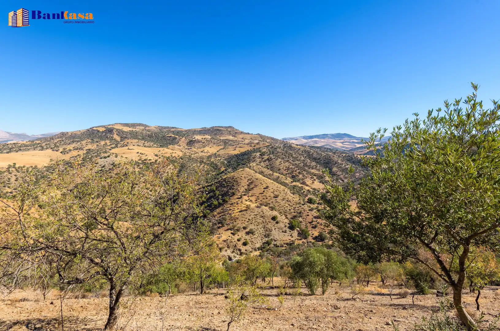 Finca rústica en venta en Álora con Jardín privado y Trastero