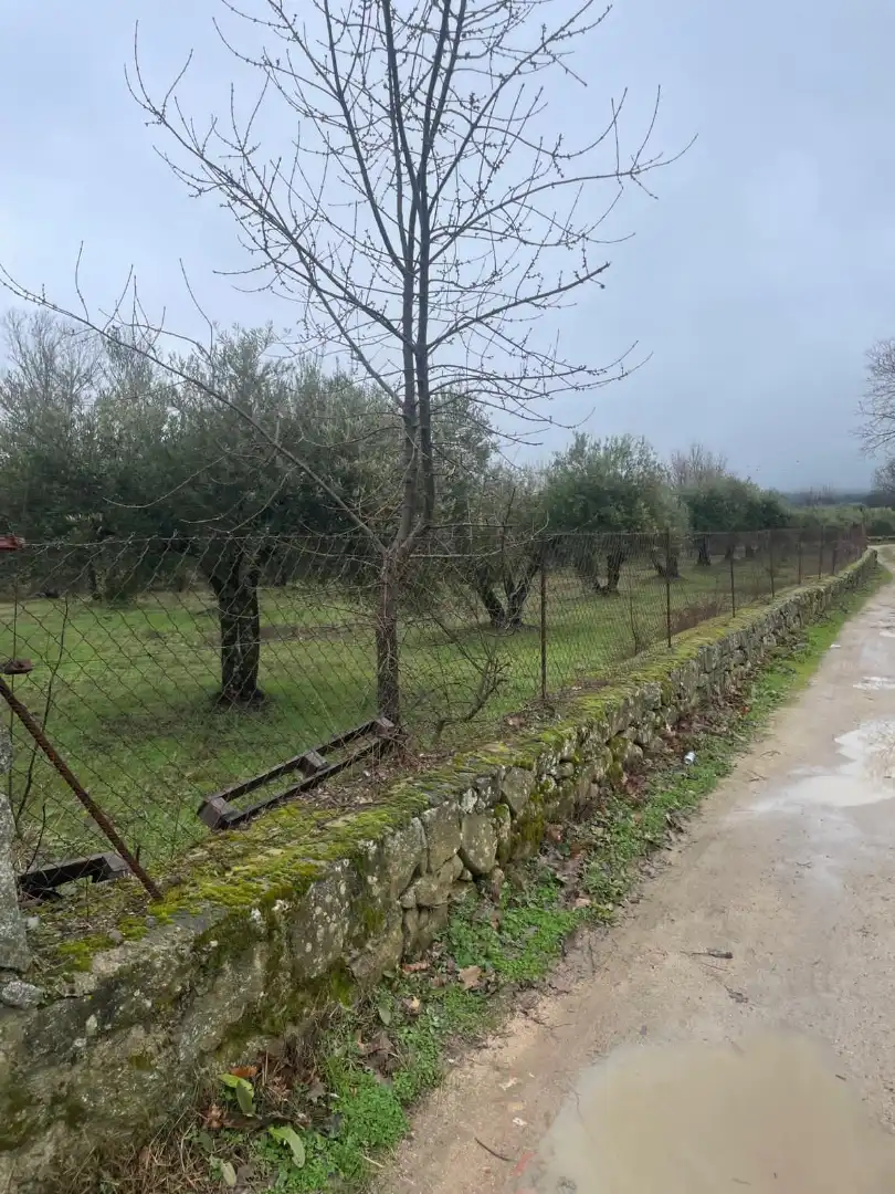 Terreni e lotti in vendita a Sotillo de la Adrada, imagen 6