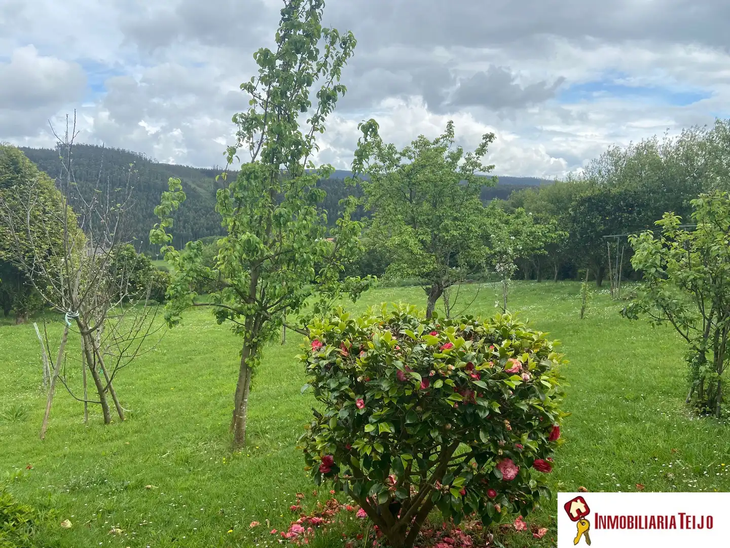 House with garden for sale in Cedeira, imagen 8